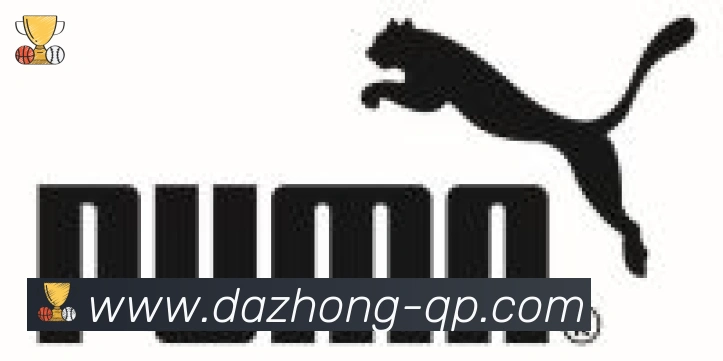 大众彩票官网合作伙伴